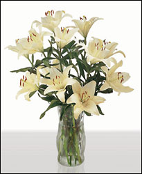 White Lily vase 