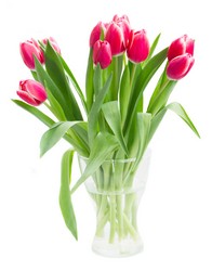 Vase of 12 Tulips 