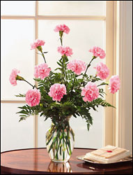  1 Dozen Carnations arranged in vase