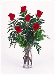 1/2 Dozen  Roses arranged in vase select your color