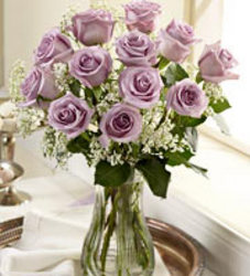 Dozen Lavender Roses 