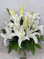 Beautiful Classic White Lilies  