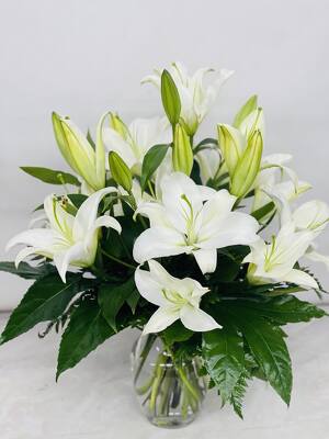 Beautiful Classic White Lilies 